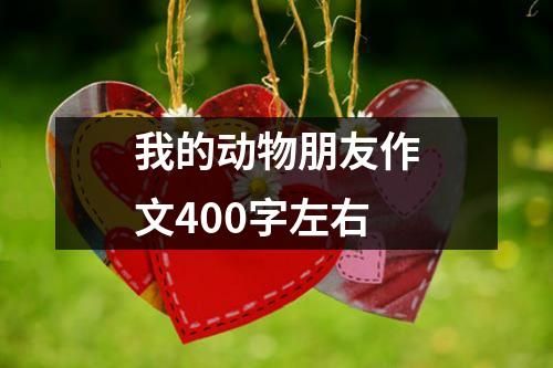 我的动物朋友作文400字左右