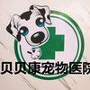 贝贝康宠物医院