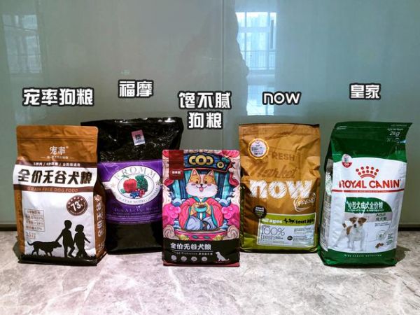 小型超可爱狗狗品种，可爱的小型犬品种（养了是你的福气）