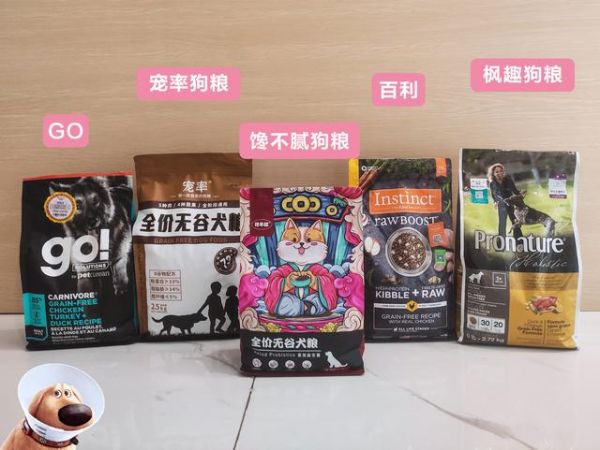 小型宠物狗品种大全，小型犬品种（国内小型犬品种）