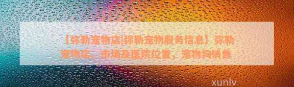 【弥勒宠物店|弥勒宠物服务信息】弥勒宠物店、市场及医院位置，宠物狗销售