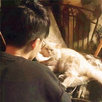 男生头像抱猫