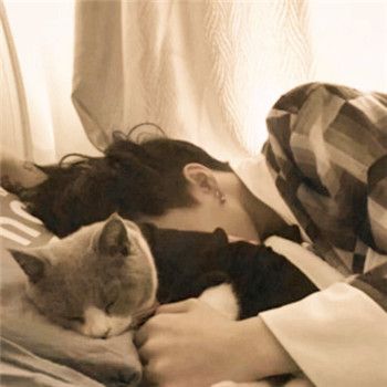 男生头像抱猫