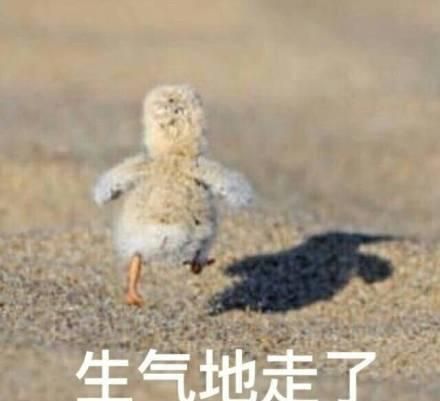 为什么越来越多的人喜欢宠物胜过孩子