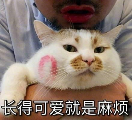 为什么越来越多的人喜欢宠物胜过孩子