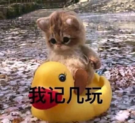 为什么越来越多的人喜欢宠物胜过孩子
