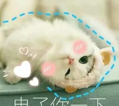 为什么越来越多的人喜欢宠物胜过孩子