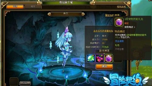 冒险契约宠物技能礼包