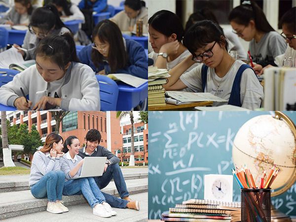 河南单招宠物护理学校排名-河南宠物专业专科学校 新闻 第2张
