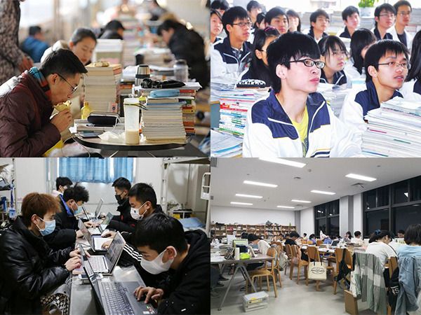 河南单招宠物护理学校排名-河南宠物专业专科学校 新闻 第1张