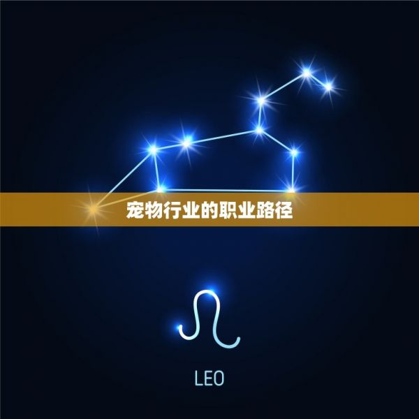 宠物行业的职业路径