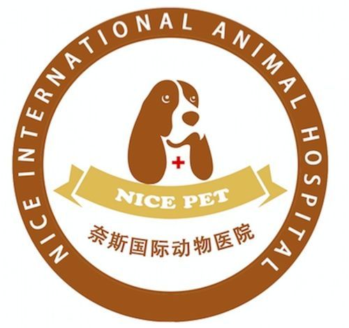 动物医院英语怎么说（动物医院英文怎么读）