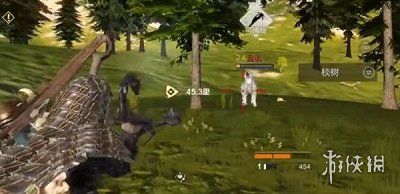 游侠网2