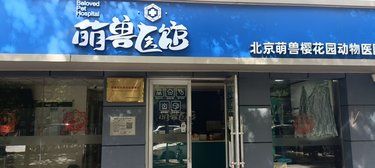 带着毛孩子体检的一天