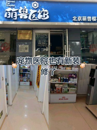 医术超赞 医心更美~