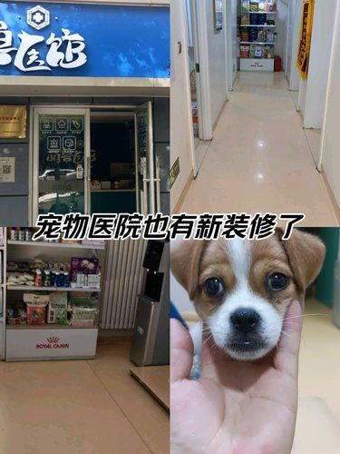 医术超赞 医心更美~