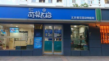 安心陪诊服务，我体验了