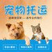 芒市宠物狗狗托运上门接宠本地服务