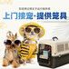 瑞丽宠物托运运输上门接宠
