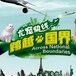 夏季宠物出行优选-银川尤宠快线宠物托运