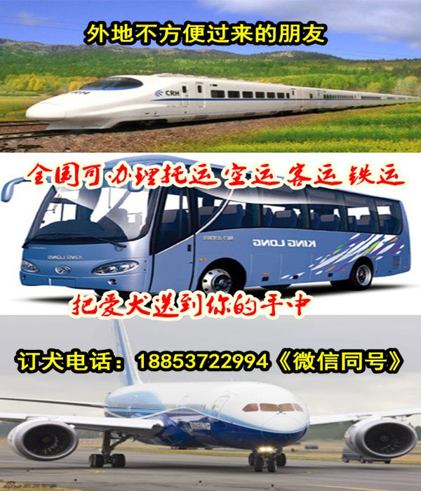 浙江省金华市狗场联系电话