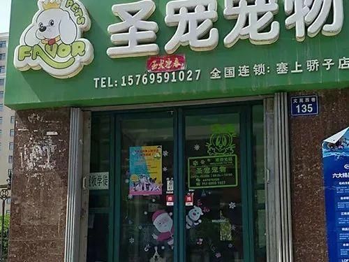 卖宠物粮食的店名（宠物粮食店铺）
