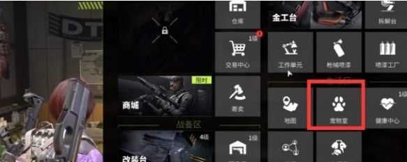 《萤火突击》宠物背包怎么升级宠物背包升级攻略1