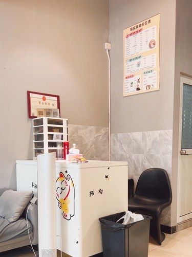 探店｜宠物洗澡新地方