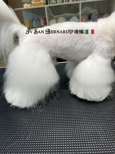 安利这家宝藏店铺～