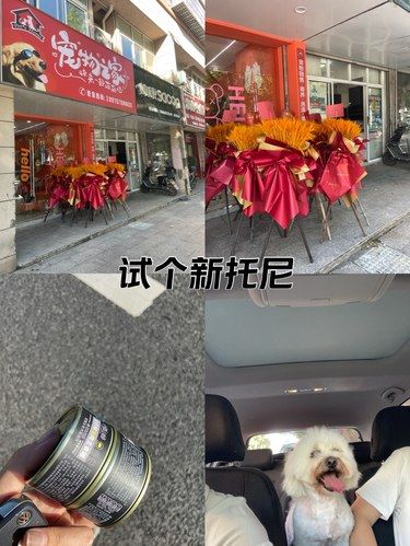 换个托尼试试