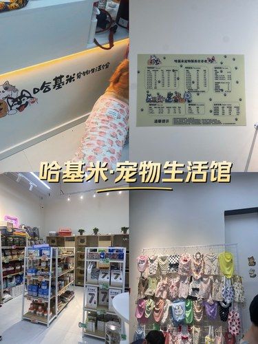 探店·哈基米哈基米·宠物生活馆