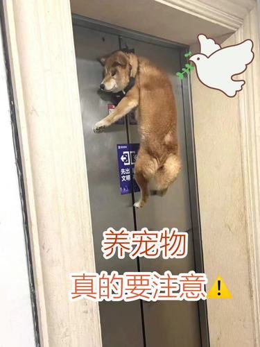 从未想过这种事情也会发生在自己的身边！