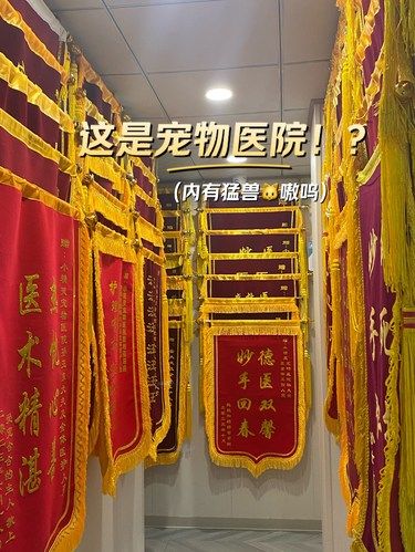 收到这么多锦旗的宠物医院❗️能有多豪华❗️