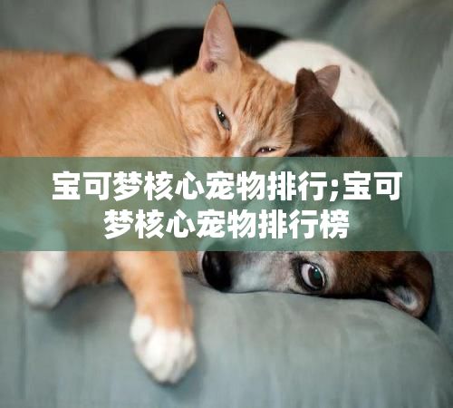 宝可梦核心宠物排行;宝可梦核心宠物排行榜