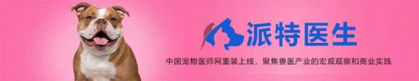 派特宠物医师网