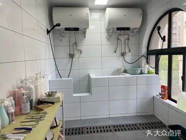 最近发现了一家超棒的宠物医院