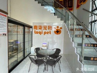 最近发现了一家很棒的宠物医
