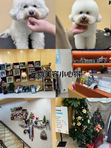 不知道的以为换了条狗