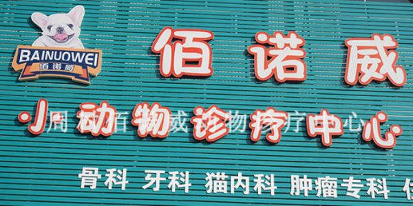 邹平黛溪花园附近不黑的宠物医院治猫瘟,宠物医院
