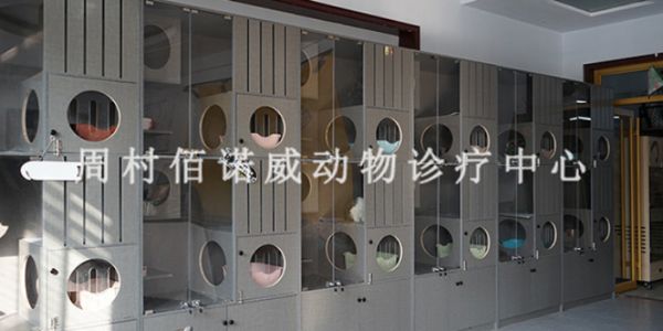 邹平正规宠物医院打疫苗,宠物医院