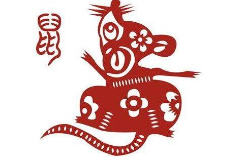 2020本命年属鼠人养什么宠物招财