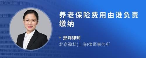 养老保险费用由谁负责缴纳