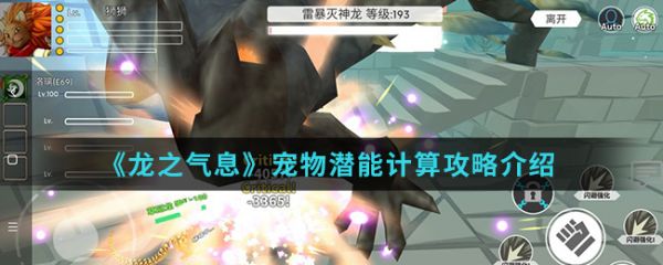 《龙之气息》宠物潜能计算攻略介绍