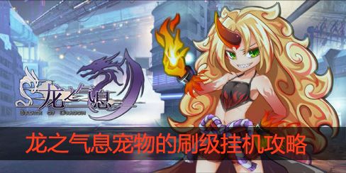龙之气息宠物怎么刷级挂机 宠物刷级挂机条件是什么