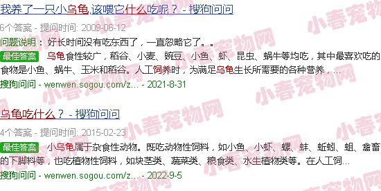 饲养乌龟吃什么东西