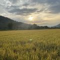 https://p1.meituan.net/userheadpicbackend/eecec2a82758f5376975f59b2bde643c2726442.jpg%40120w_120h_1e_1c_1l%7Cwatermark%3D0