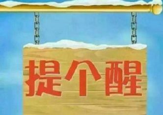 选择宠物托运应注意哪些方面