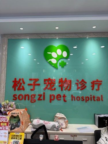 真的没想到宠物医院现在也这么卷了