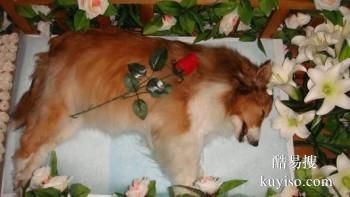 汕头狗狗火化中心