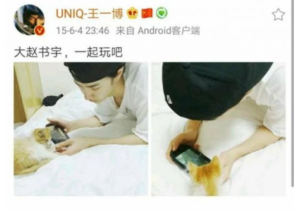 蔡徐坤的猫咪叫什么，宠物猫男猫名字